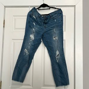 Torrid Jeans